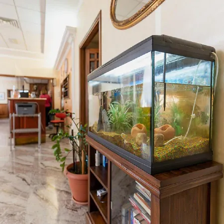 Delle Rose 3* 오리스타노