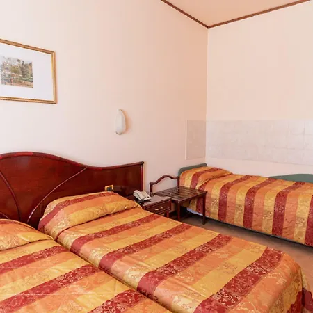 호텔 Delle Rose 3*