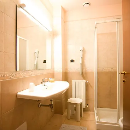 Delle Rose 호텔 3*